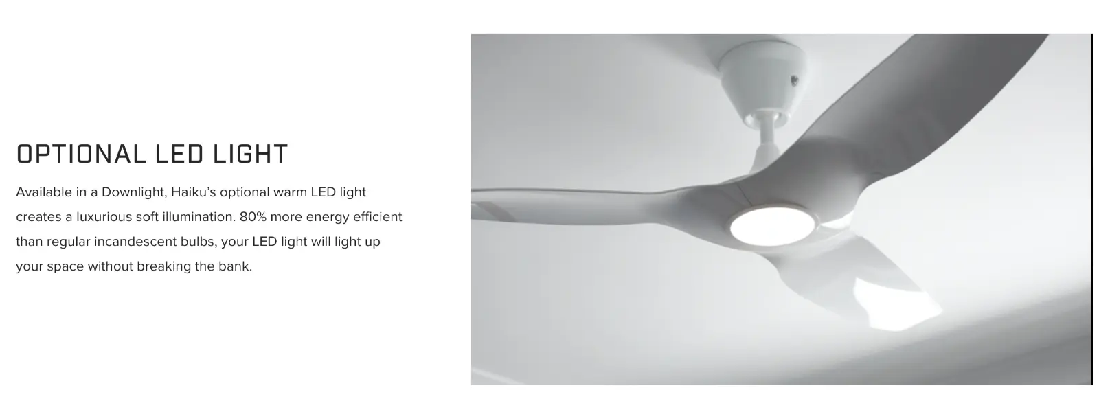 Optional LED Light